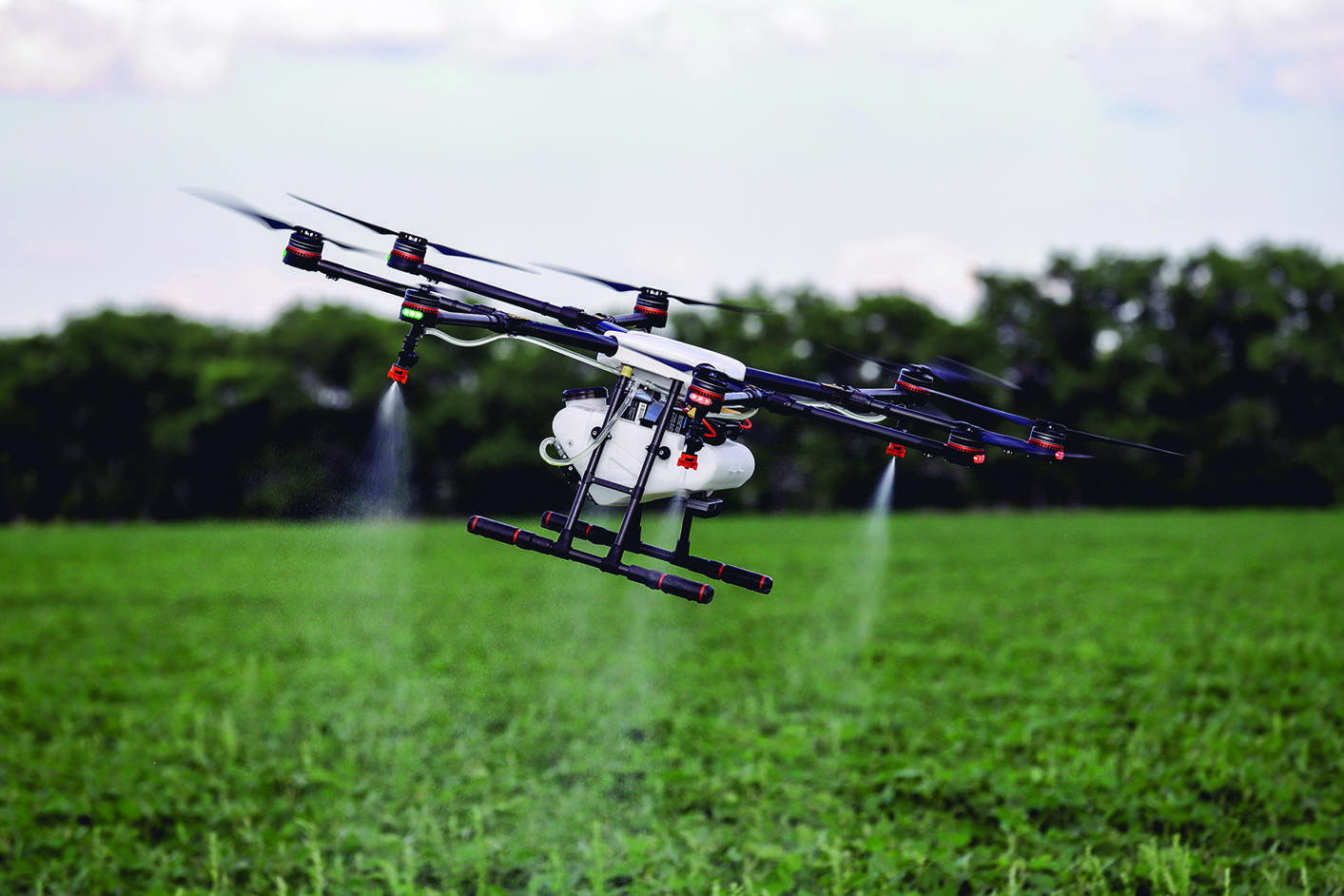 Drohne verbreitet Pestizid
